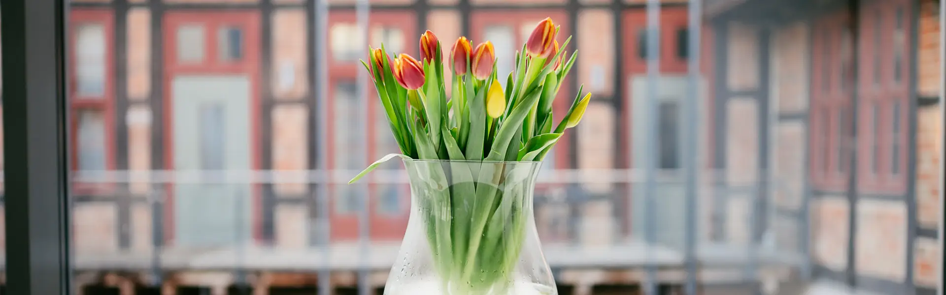 News und Termine im Palais Salfeldt