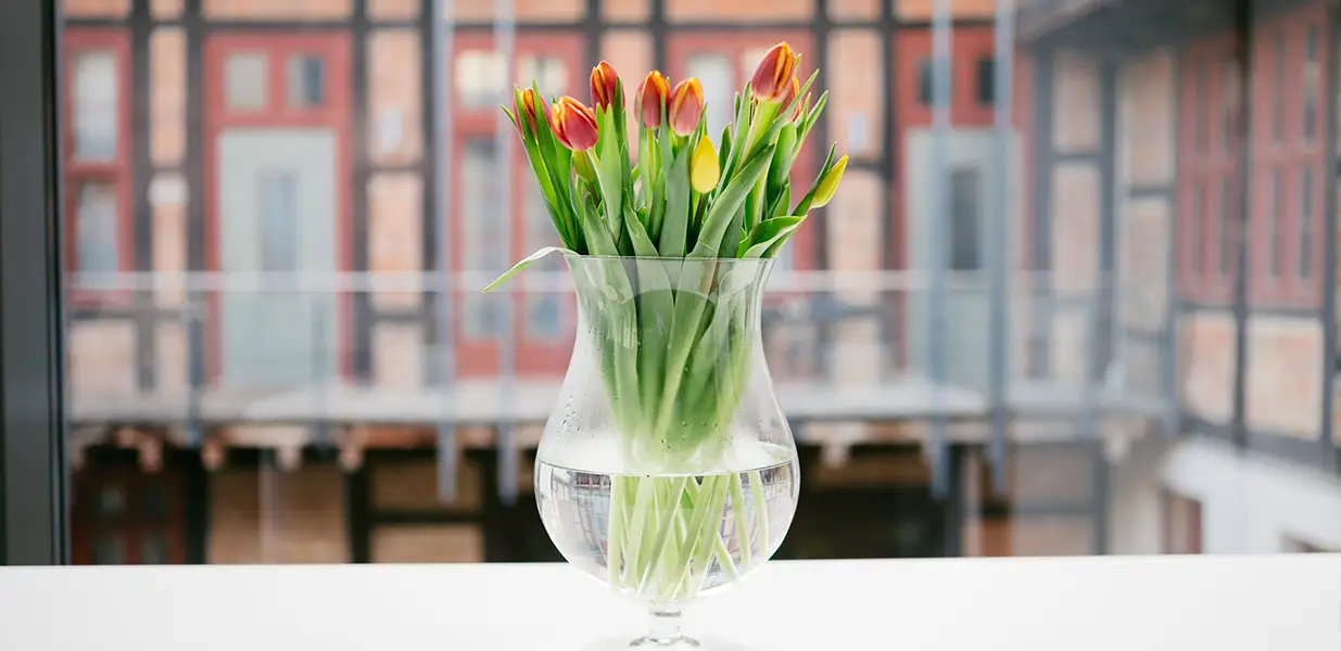 News und Termine im Palais Salfeldt